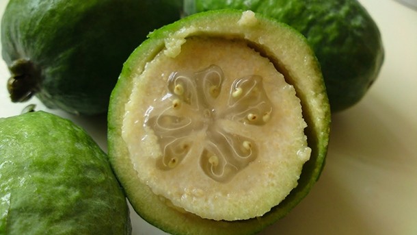 Feijoa is being viewed as a potential super-fruit by New Zealand researchers